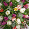 Tavaszi fuvallat - lila-fehér-rózsaszín tulipán csokor